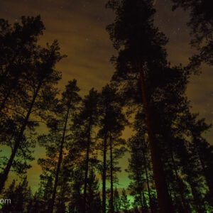 Polarlicht - Norwegen (2018)