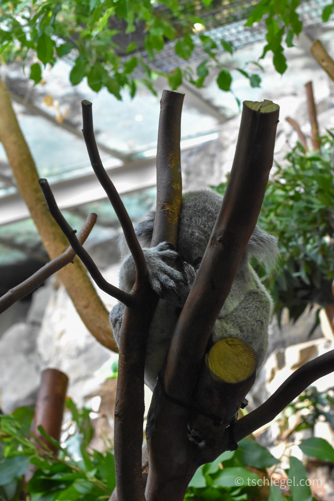 5ef9d830-030f-4c9a-8999-44cae18c8ac4_rw_1920