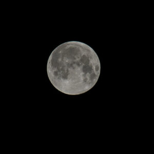 63047c16-a6f5-43eb-9793-ff80f5481947_rw_1200