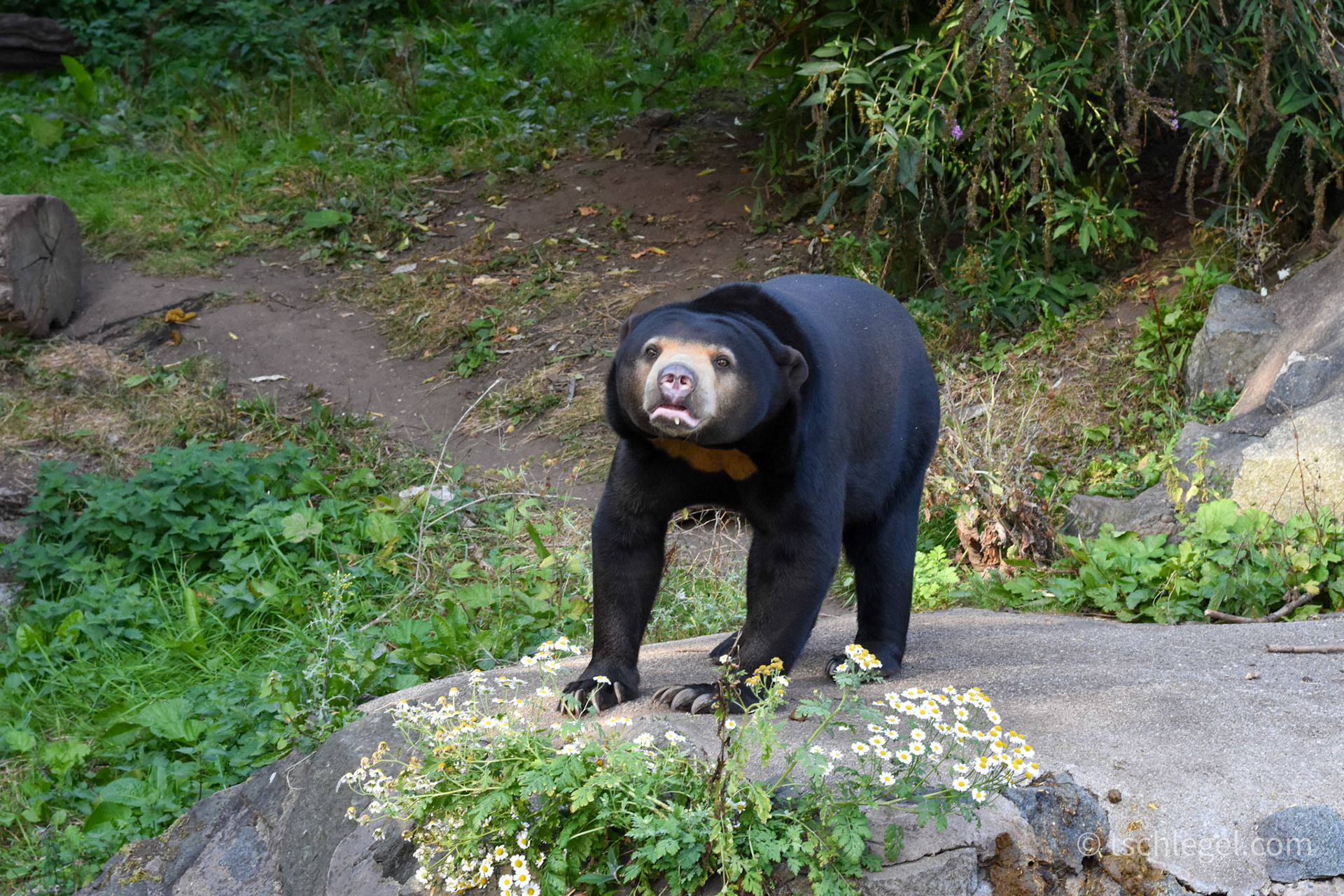 6485ce22-f2ef-4963-bd16-524508ef101b_rw_1920