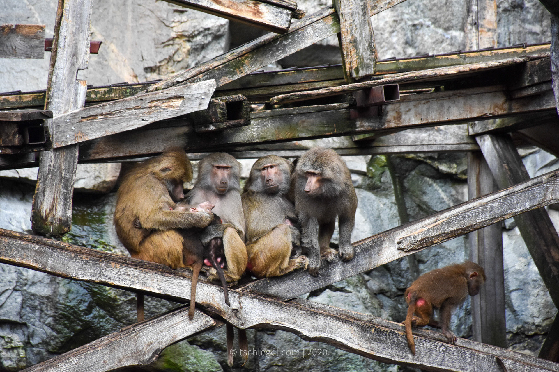 84e5be76-c580-4ca3-8b1f-2ec638ecf514_rw_1920