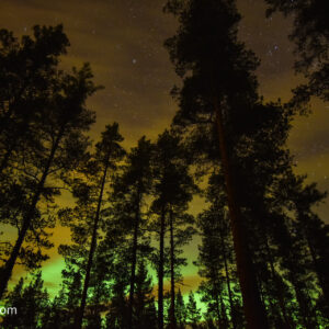Polarlicht - Norwegen (2018)