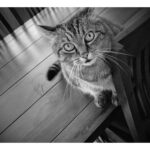 IMG_20170330_160553-EFFECTS