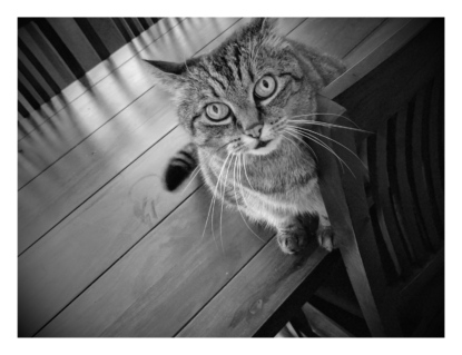 IMG_20170330_160553-EFFECTS