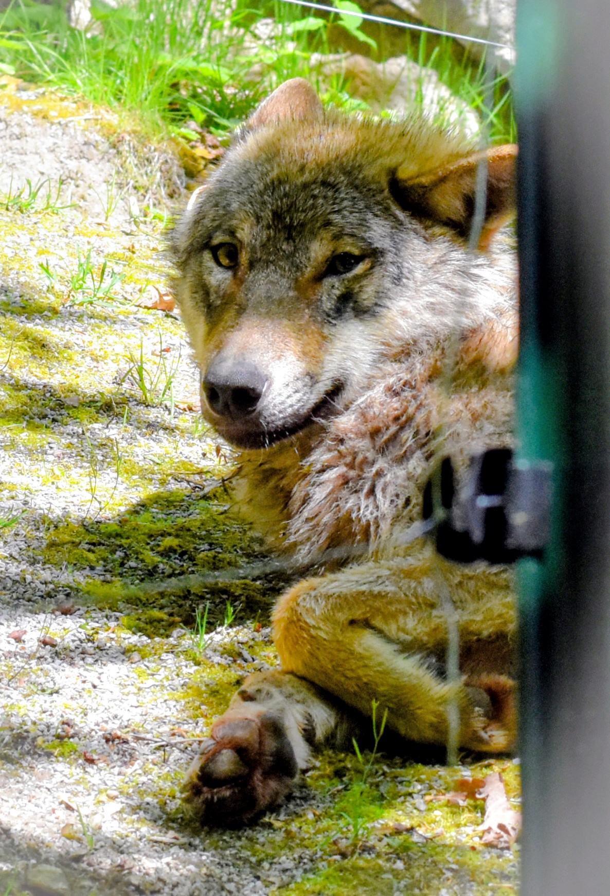 PSX_20230506_213835~2