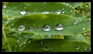 PXL_20240825_101451006