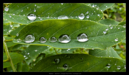 PXL_20240825_101451006