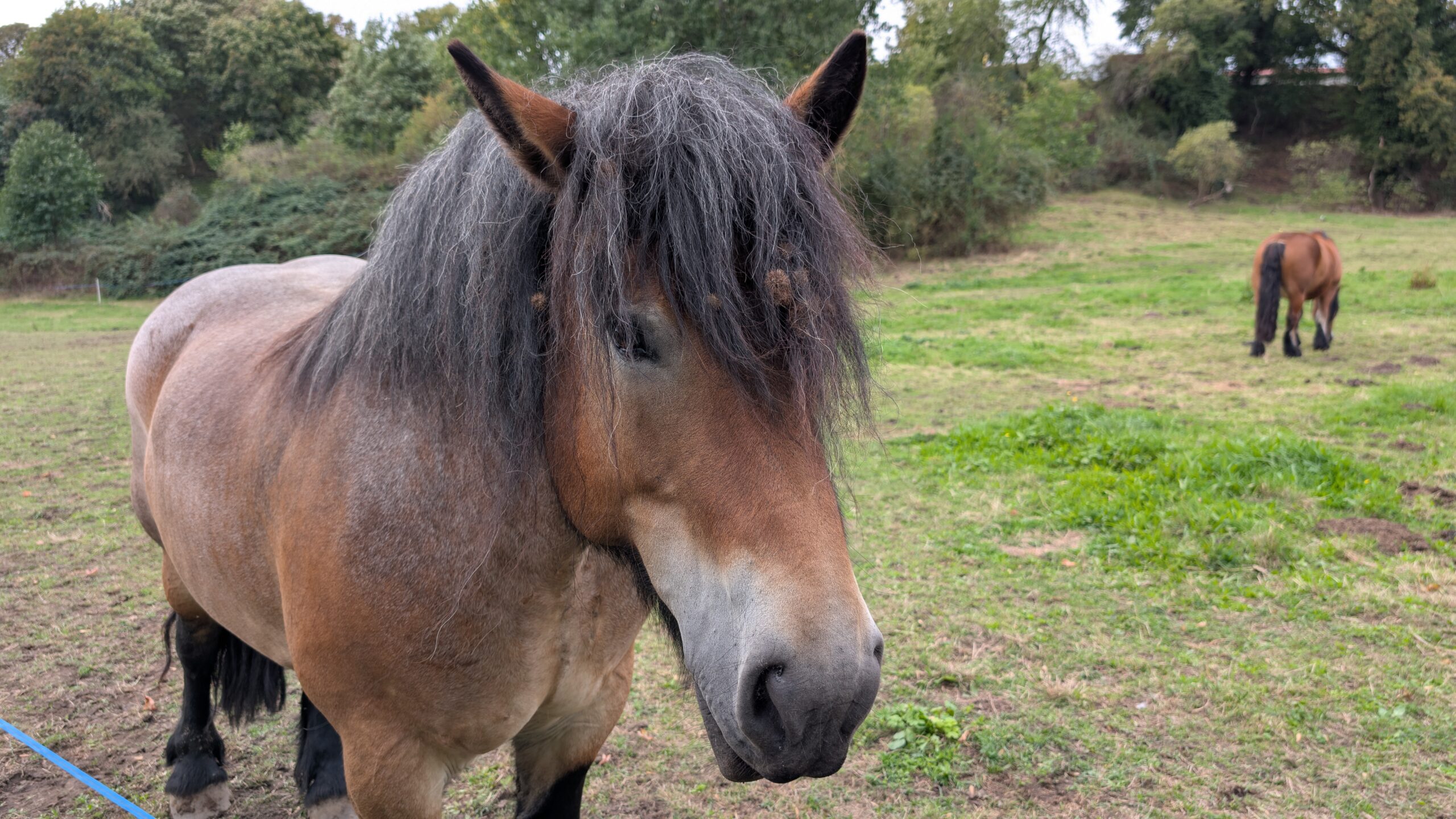 PXL_20250926_121049879