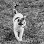 PXL_20250926_122358301~3