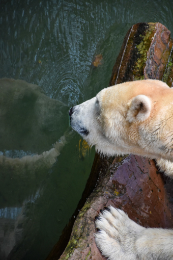 a66ecf64-f475-4048-8a81-ef8b8f764cee_rw_1920