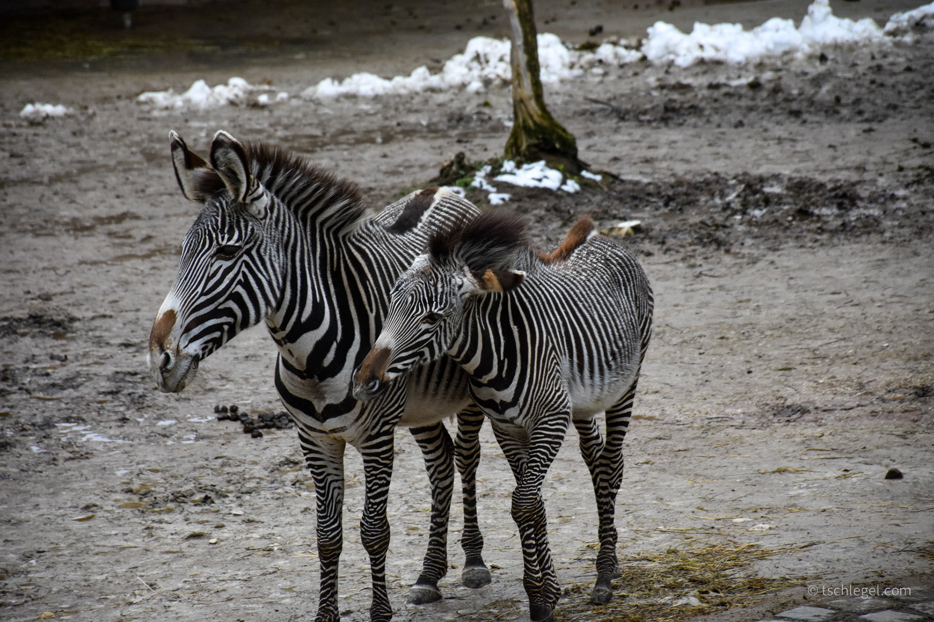 fd498be7-5d07-4ebf-a97e-79d19235b541_rw_1920