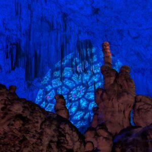 PXL_20251217_142152415