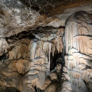 PXL_20251217_150325098