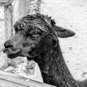 PXL_20251220_084641210.PORTRAIT~2