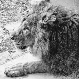 PXL_20251220_090557084.PORTRAIT~2